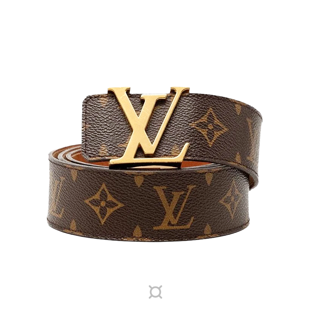 VAULT - VL Belt (brown)