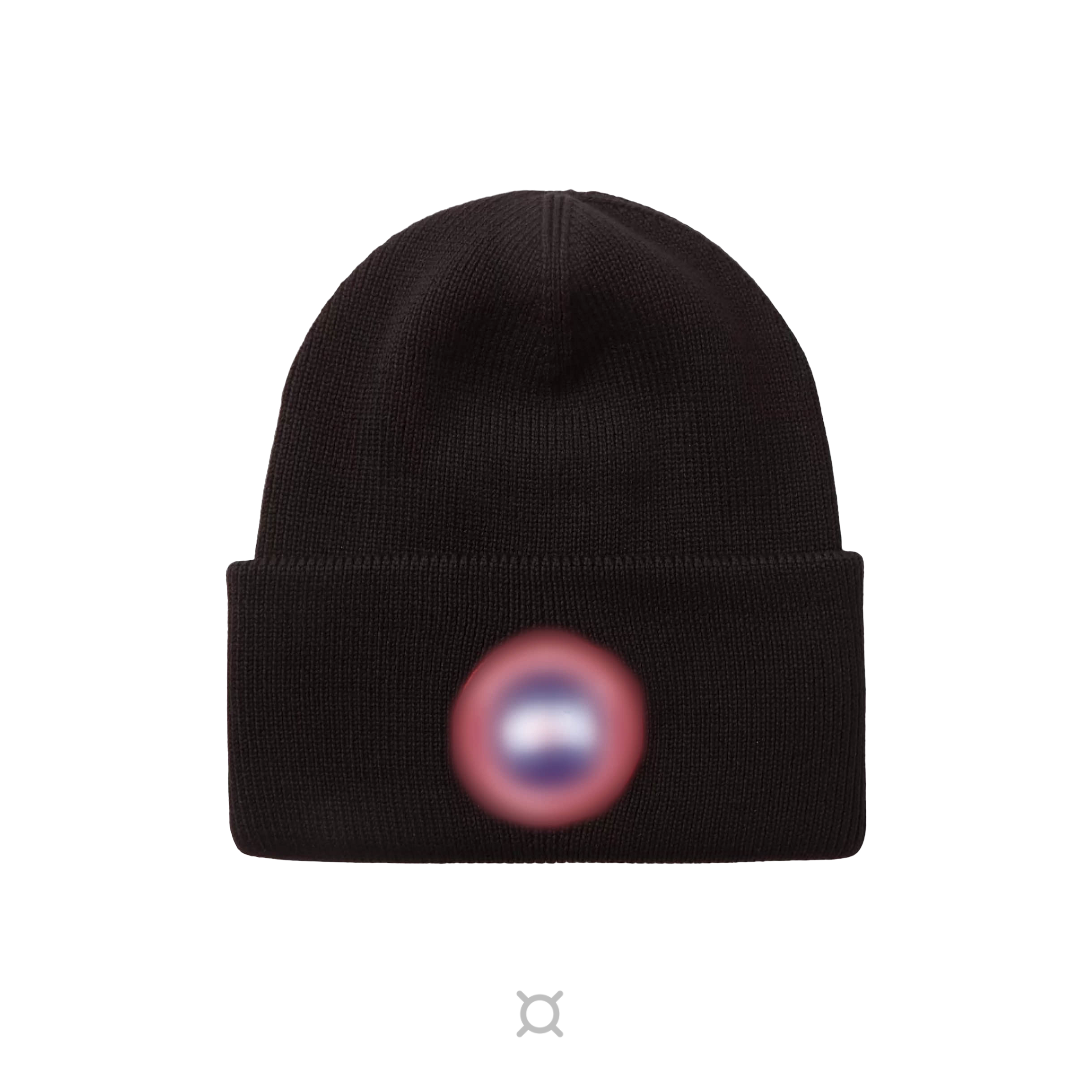 VAULT - CANGOOSE Beanie